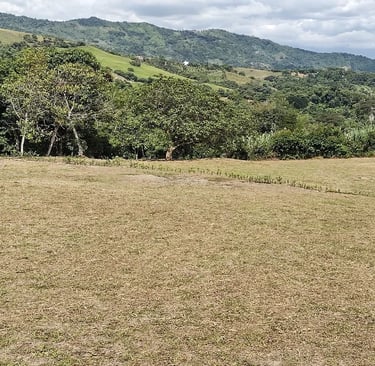 lotes en zona rural de nocaima ideales para construir