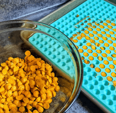 Bowl of homemade training treats next to cooked training treats in silicone mold