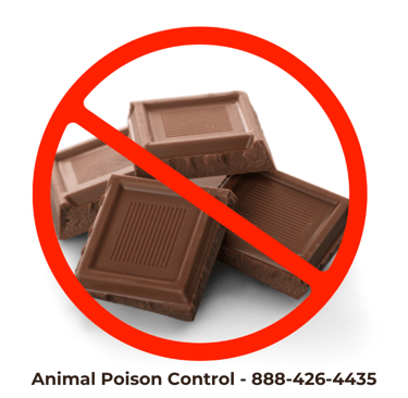 The number for Animal Poison Control with an image of chocolate