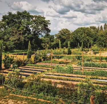 Parcelle maraîchère de la ferme gourmande