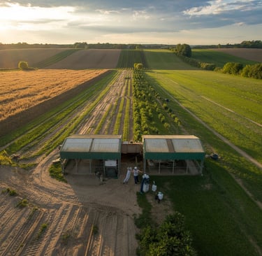 a farm with a barn and a tractor