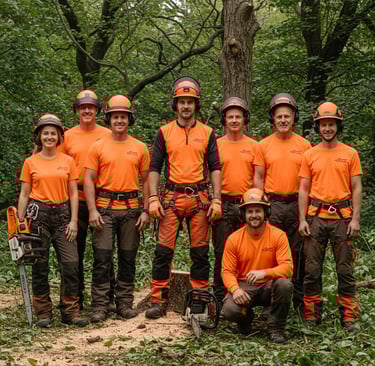 Guilmer Tree Services crew operating a wood chipper during a tree removal job in Falls Church, VA