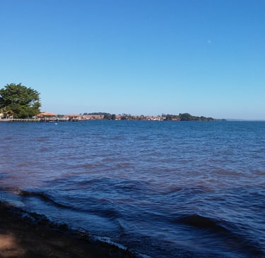 a beach with a boat in the water