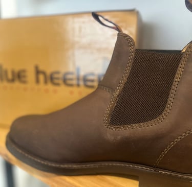 blue heeler, Schuhe zum Motorrad fahren, zum Reiten im Garten zum Wadern