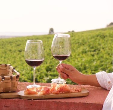 wine and jamon meal over vineyard