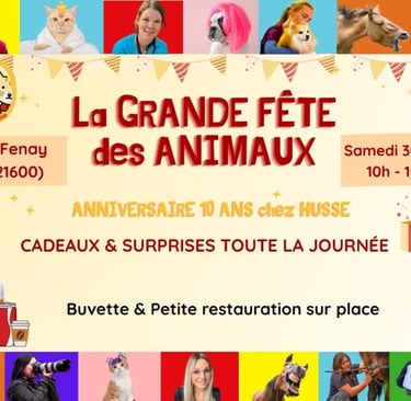 Husse croquettes
