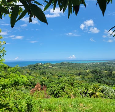 Procédure d'achat d'un terrain en République Dominicaine