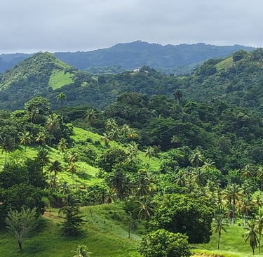 una visión patrimonial y de largo plazo