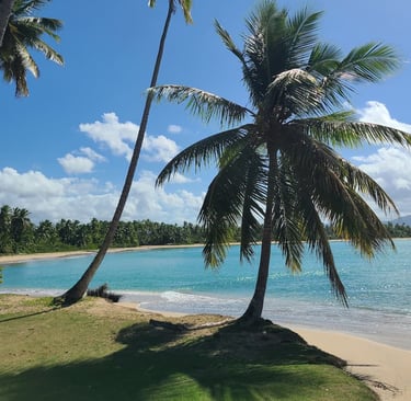 Playa Esmeralda Miches