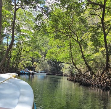 Les incontournables de Miches