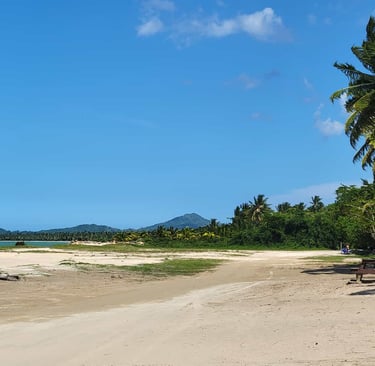 Playa Arriba Miches