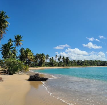 Miches une destination pour investir