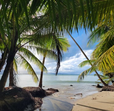 Pourquoi les investisseurs choisissent Miches