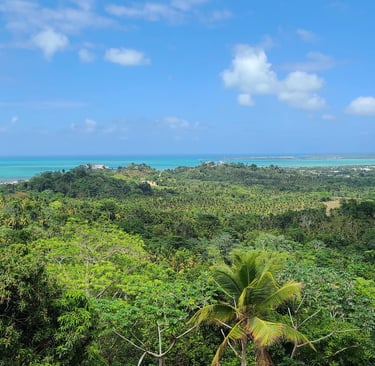 Terrenos claramente identificados y deslindados