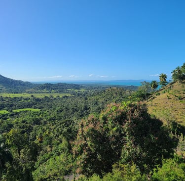 Tendencias globales en ecoresidencias de lujo: Casablanca Ecolodge está redefiniendo el estándar