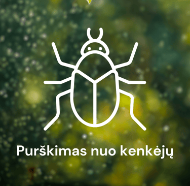 Purškimas nuo kenkėjų Kaune