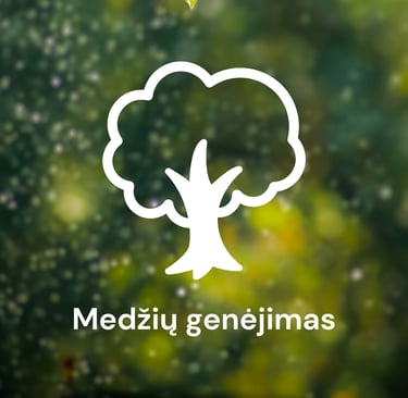 Medžių genėjimas Kaune