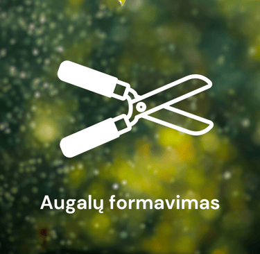 Augalų genėjimas, karpymas, formavimas