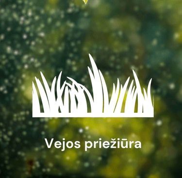 Vejos priežiūra Kaune