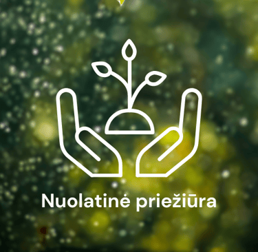 nuolatinė sklypo priežiūra ikona