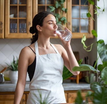 Hanchen distillateur