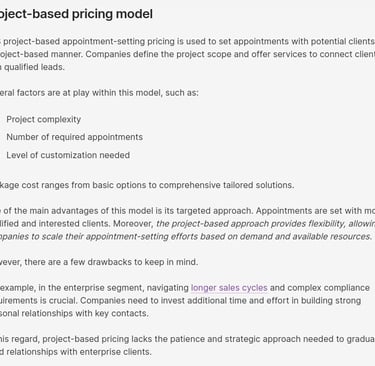 Screenshot showing thorough understanding of project-based pricing in the article, B2B Appointment S