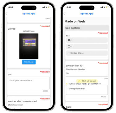 form filler on iphone application