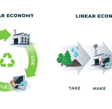 Circular Economy Diagram