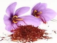 Safron Stem Cells Cosmetic Scientist 