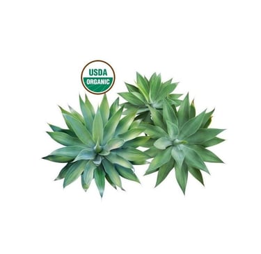 Organic Agave Ferment at Cosmetic Scientist