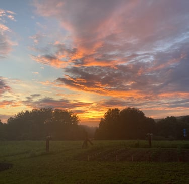 Moon Sunset Farm - Sunset - Magic