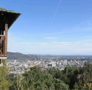 VISTA DE TEMUCO DESDE CERRO ÑIELOL