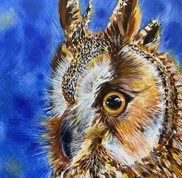 a owl painting