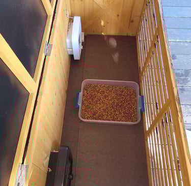 Inside view of feeder showing covering on floor.