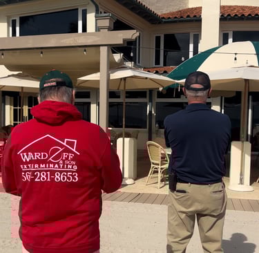 termite inspection