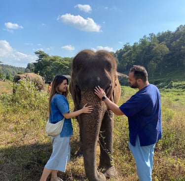 couple,  travel,  Thailand, love, elephant, elephant sanctuary
