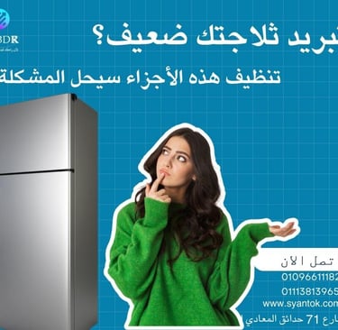 A woman trying to find solutions to maintain and repair her refrigerator.