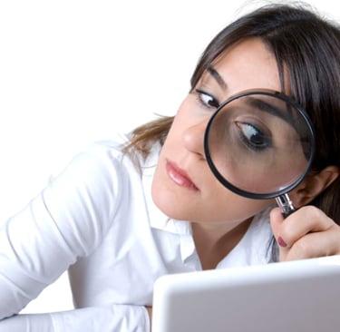 Biotipo Comportamental Detalhista Analítico: Riqueza de detalhes.