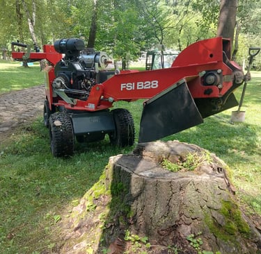Kelmų freza FSI B28