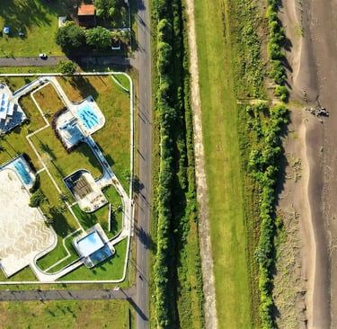 a pool with a pool and palm trees