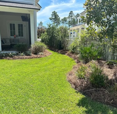 Backyard landscape with manicured green lawn, pine straw mulch, and native garden shrubs.