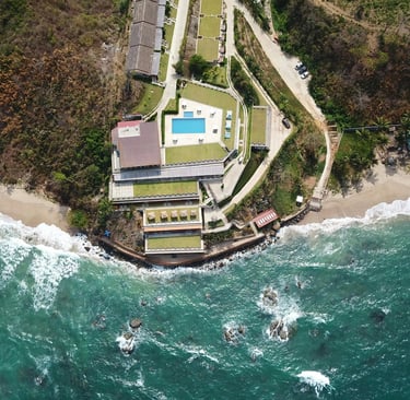 house with palm trees
