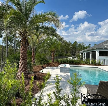 Luxury backyard swimming pool with palm trees, tropical landscaping, and a modern sun deck.
