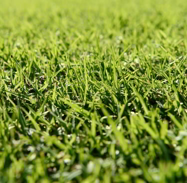 close up of realistic artificial turf
