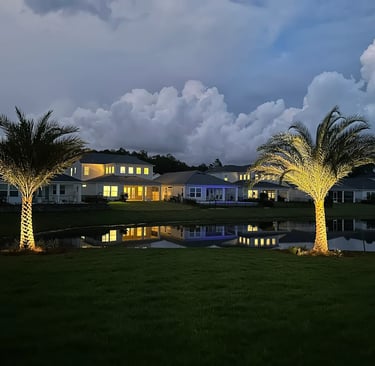 Landscaping in Florida