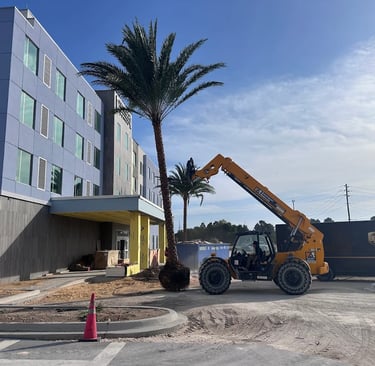 crane truck moving palm tree