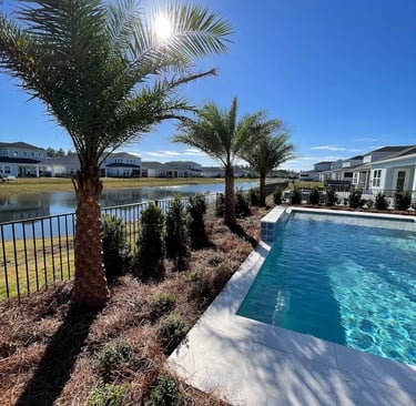 Luxury backyard swimming pool with palm trees overlooking a scenic lake in a suburban community.