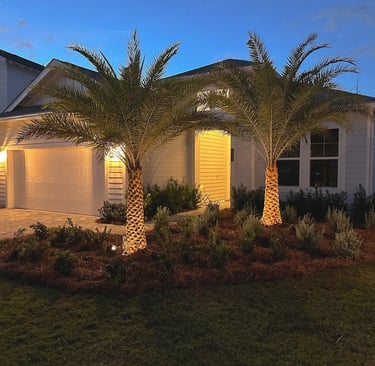 Illuminated modern white house with palm tree landscaping and outdoor garden lighting at twilight.