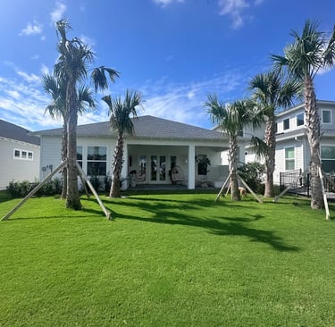Modern coastal home with a green lawn, palm trees, and a covered back patio under a blue sky.