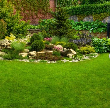 low-maintenance landscape design